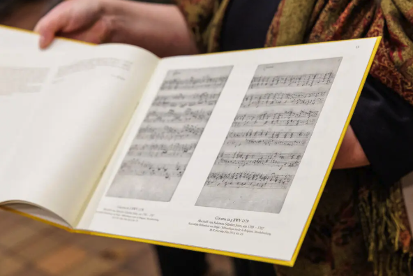 springshare tweet media