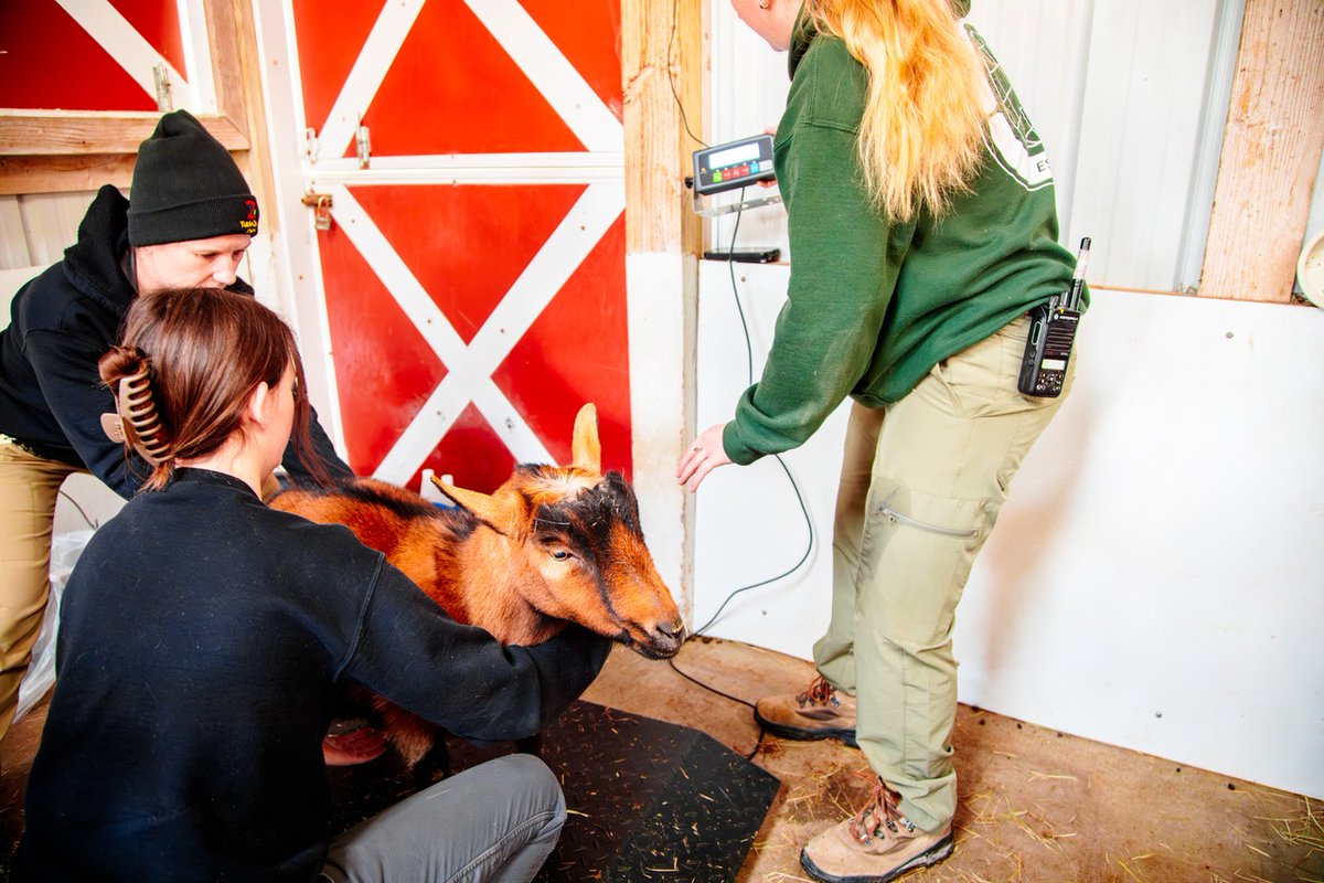 Tulsa Zoo tweet media