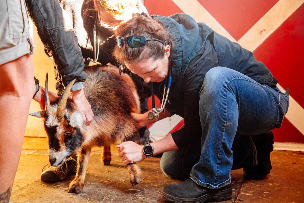Tulsa Zoo tweet media