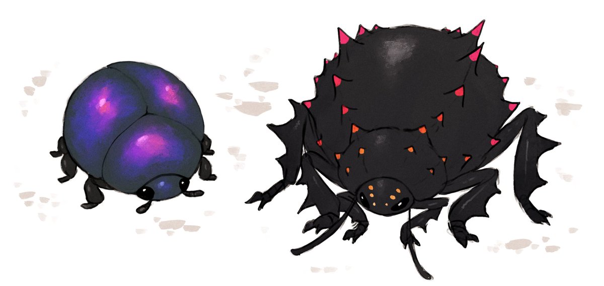 Kroco 🦎 tweet media