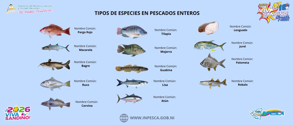 INPESCANic tweet media