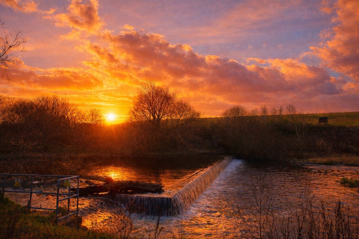 Hudderphil tweet media