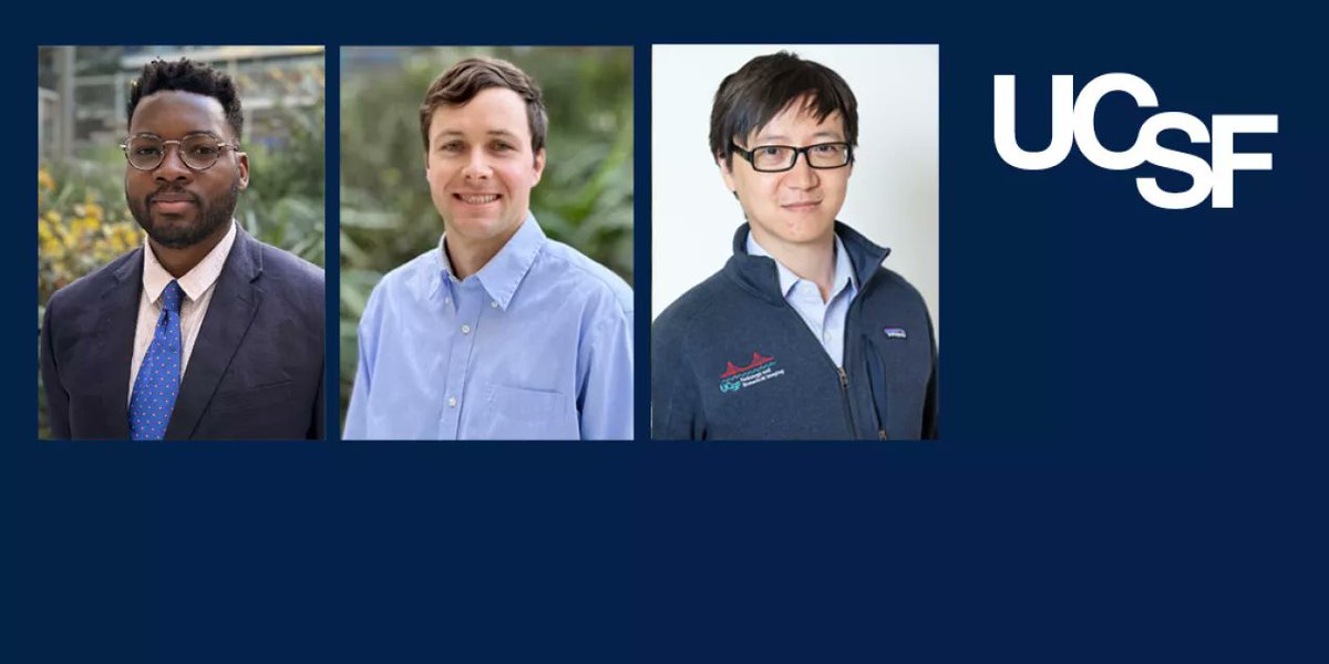 UCSF Imaging tweet media