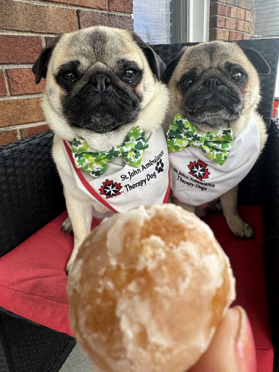 Zombie Pug & Crowley aka Lil C tweet media