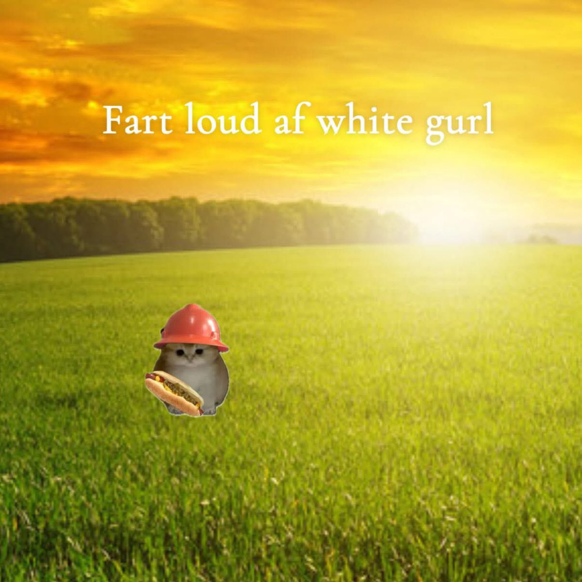 soup🍓 tweet media