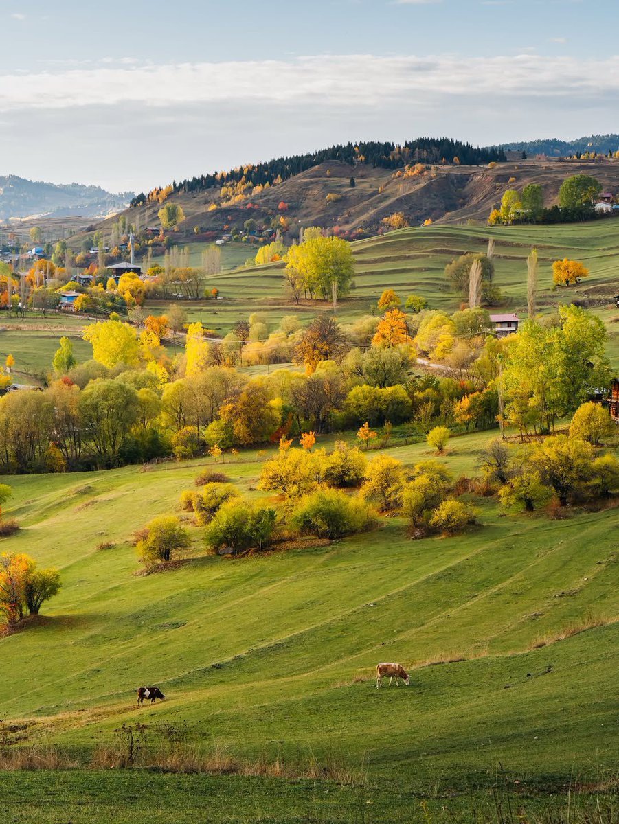 Gitmeliyiz tweet media