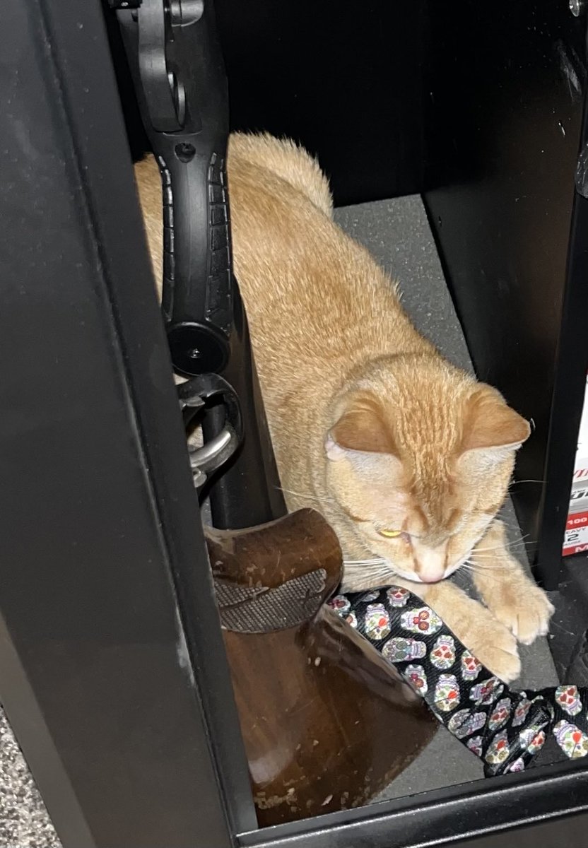 Claude Krause tweet media