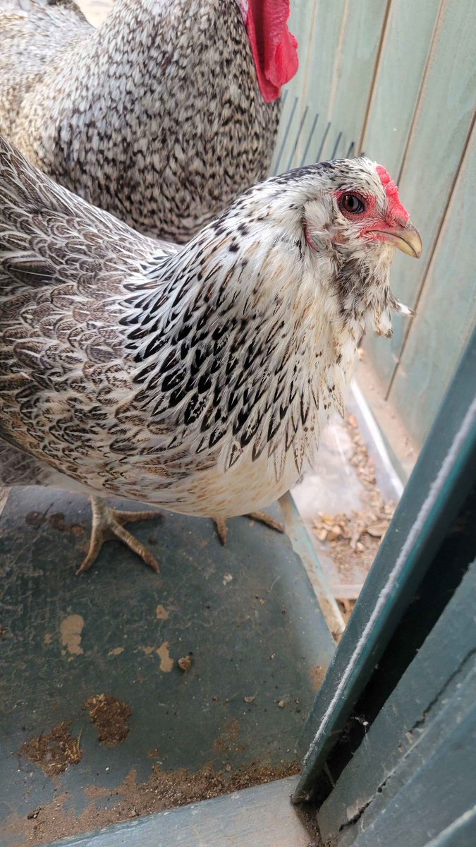 Hudson Jameson tweet media