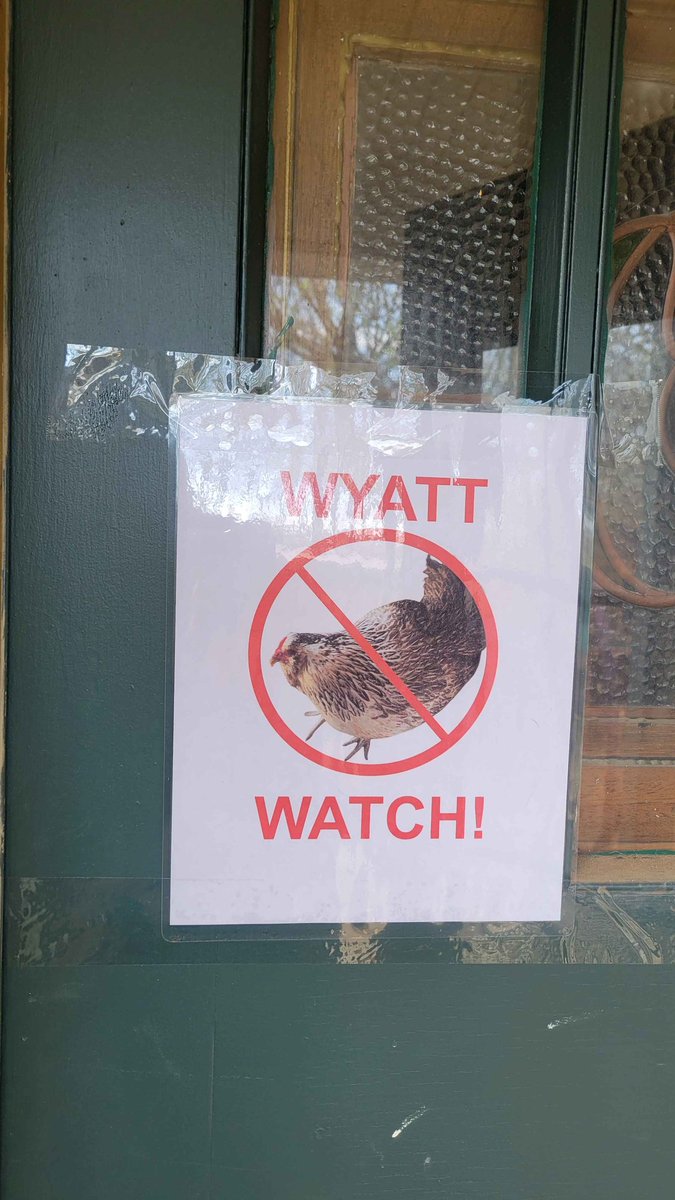 Hudson Jameson tweet media