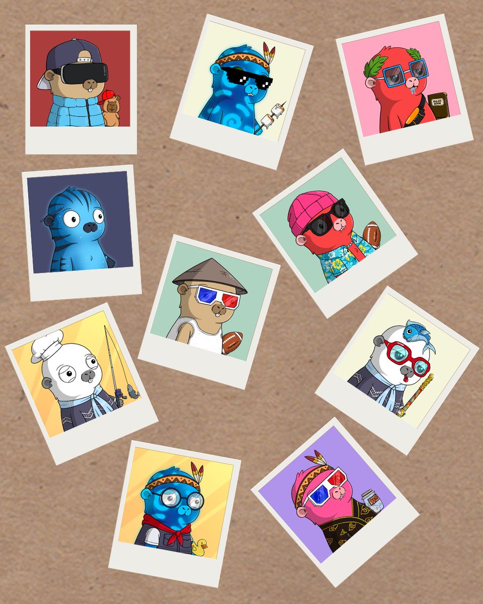 sassypantsninja.moca ✳️ tweet media