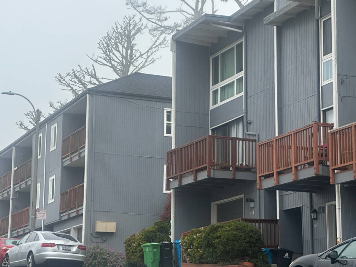 San Francisco Bay View Newspaper tweet media