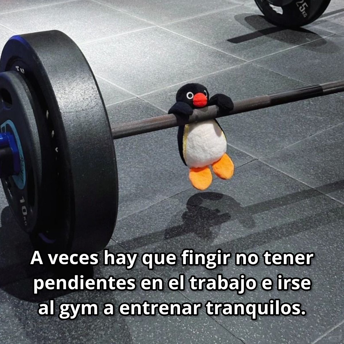 El Guarromántico tweet media