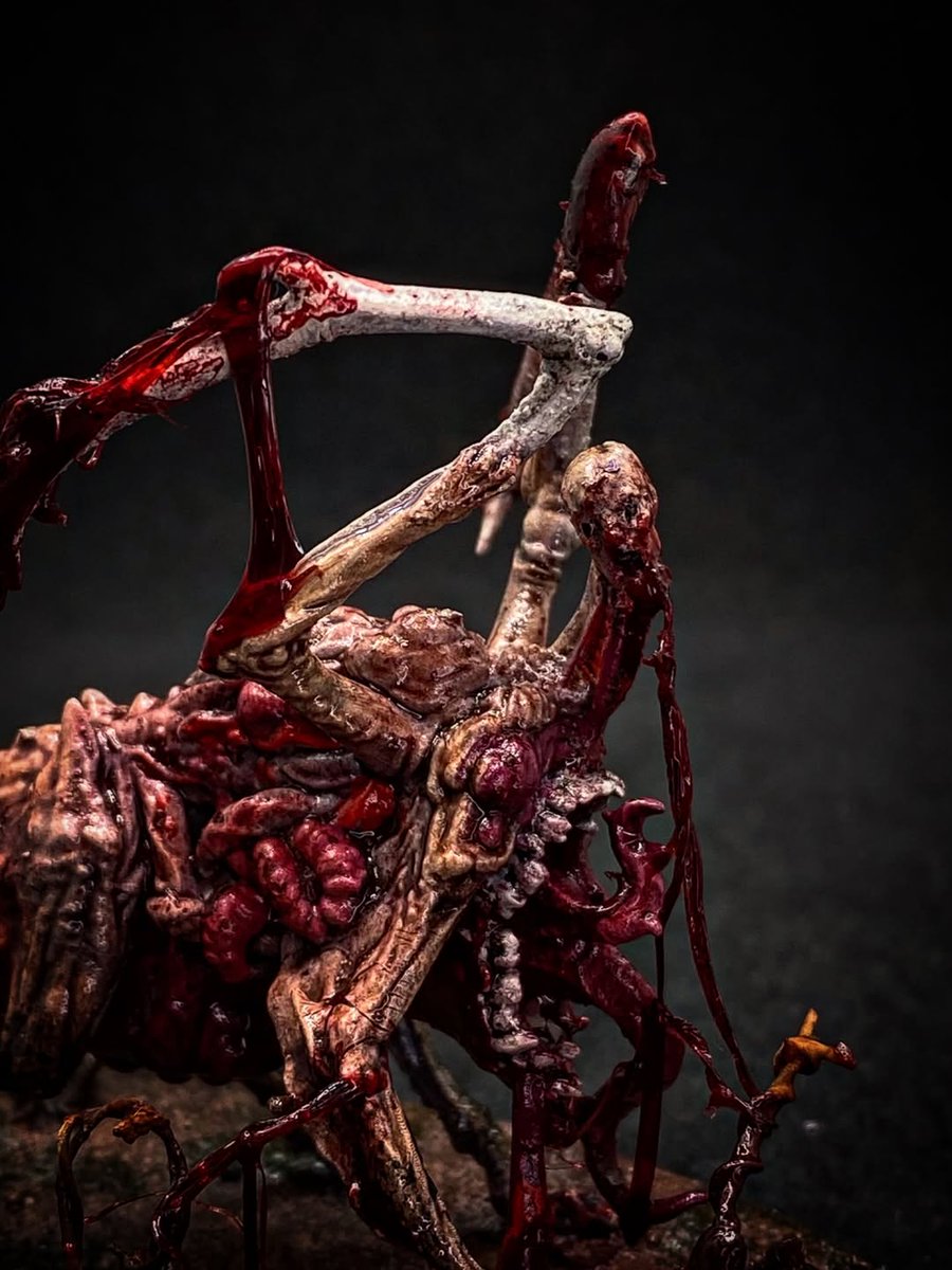 Warzone Studio tweet media