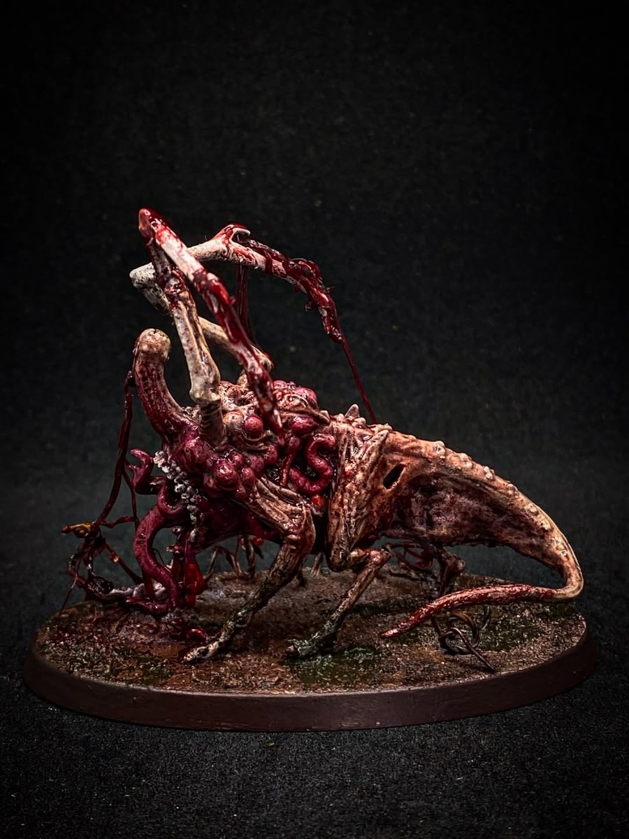 Warzone Studio tweet media