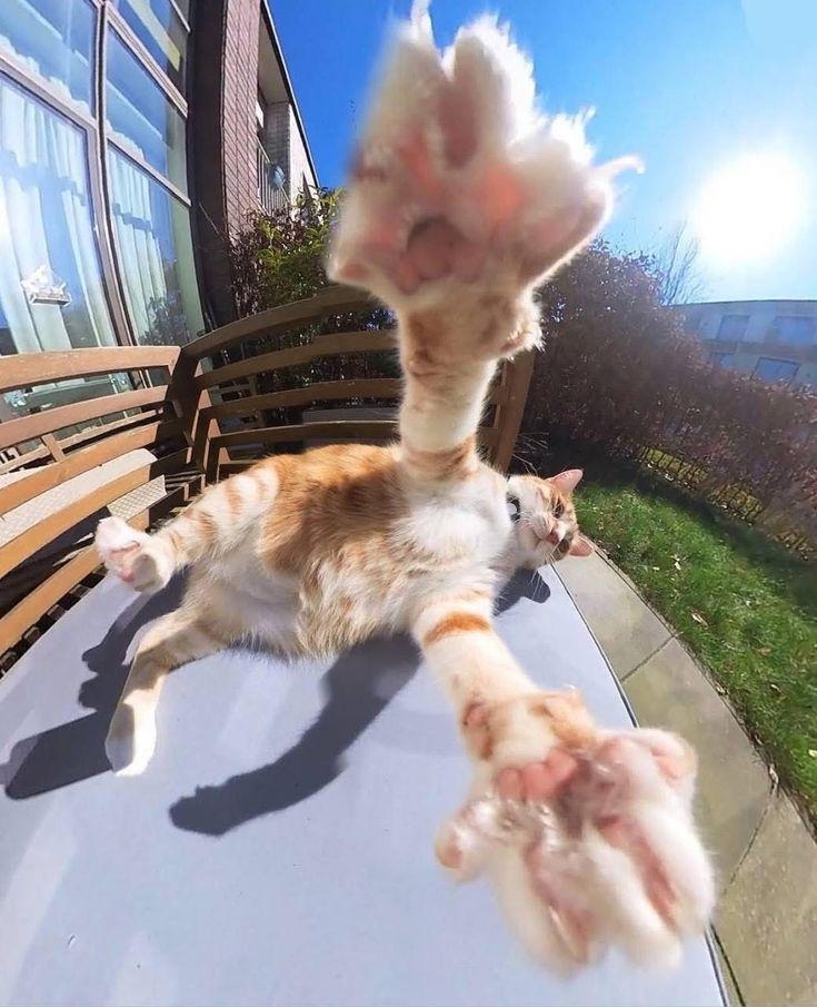 Jake Walters | Home Studio | Funny British Guy tweet media