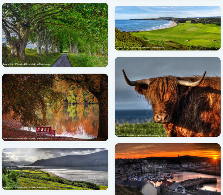 OurBestTimes's tweet image. Four Seasons, One Life, On Repeat, colours, nature beaches, sunsets, walks, rests, good times, yours...
#wallart 
photo4me.com/profile/28971/… 
@OurBestTimes 
#friendship #familyday #TravelGoals #tourists #PrintOnDemand #bedroom #Highlands #country