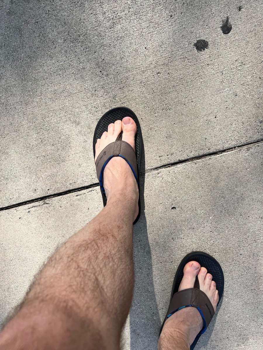 Flipflopdad tweet media