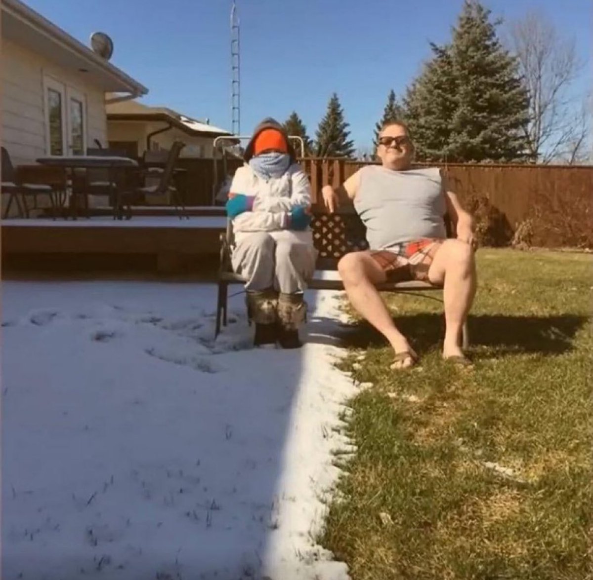 Made In Canada tweet media