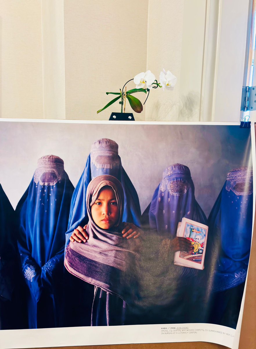 MEGA Luxembourg tweet media