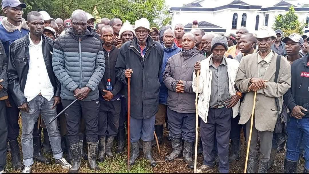 George T. Diano tweet media