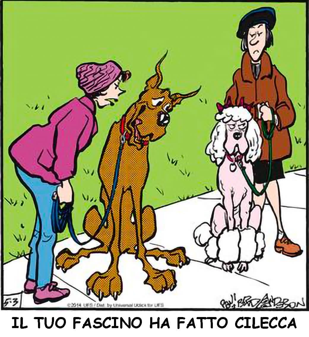 annamariamoscar's tweet image. 🤣🤣🤣🤣🤣