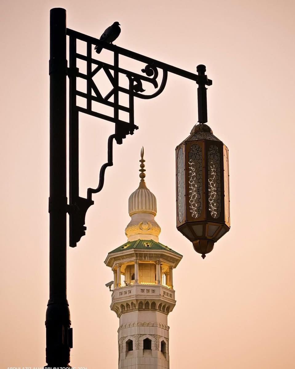 *اللهمّ اجعل ما تبقى من رمضان جبرًا* 
 لقلوبنا، وتكفيرًا لذنوبنا، واستجابة لدعواتنا.♥️🤲