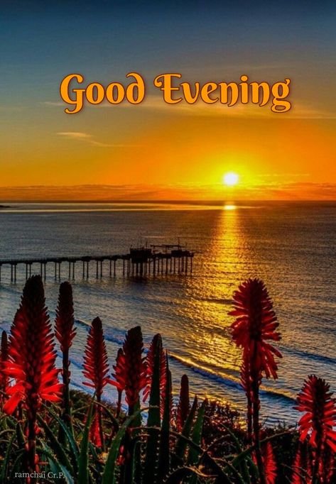 annamariakuch's tweet image. Have a peaceful and relaxing  evening Sophie 🥰 and good night soon sleep well 💫✨️😴💙