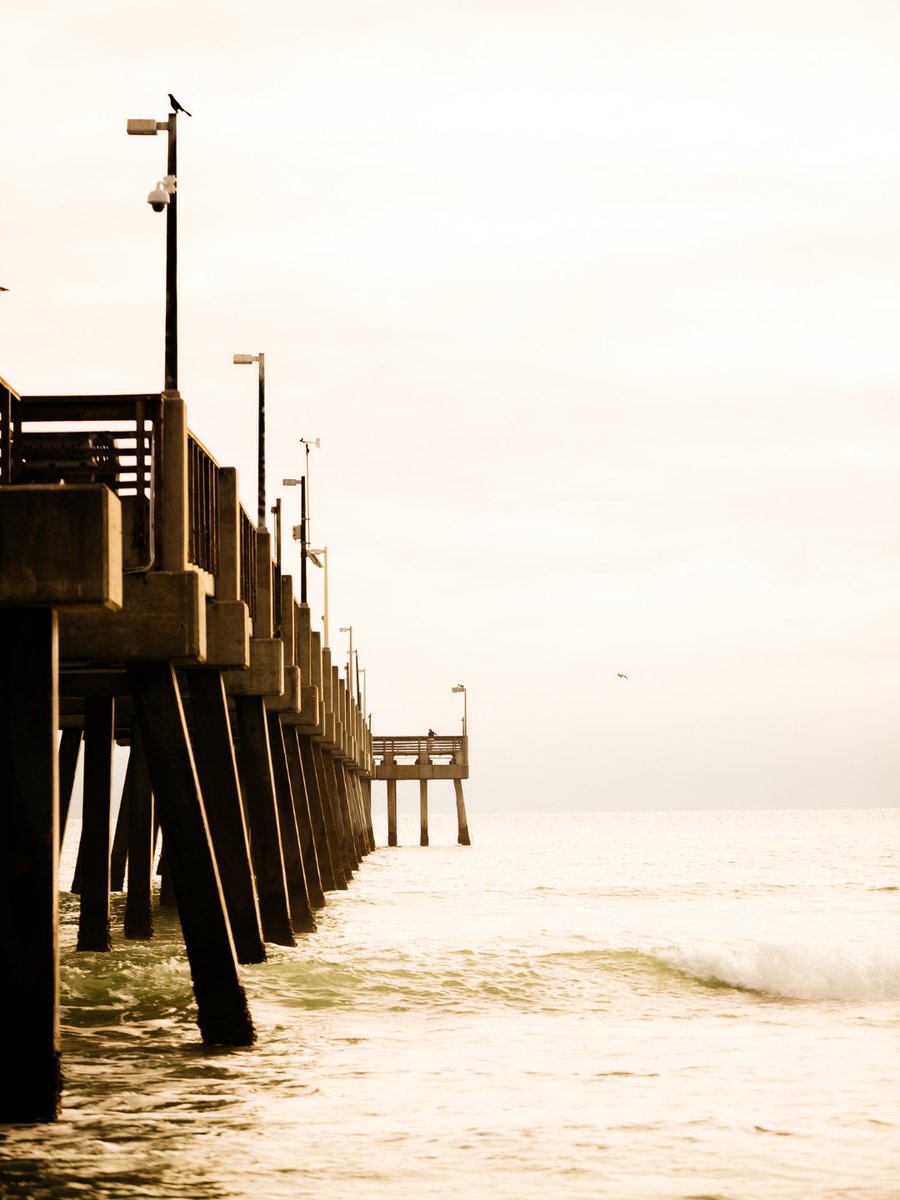 visitlauderdale's tweet image. Rise and shine is a daily occurance here. 🌅 Where are you headed in Greater Fort Lauderdale today?

#floridabeaches #beachtravel #wintertravel #beachlover #broward