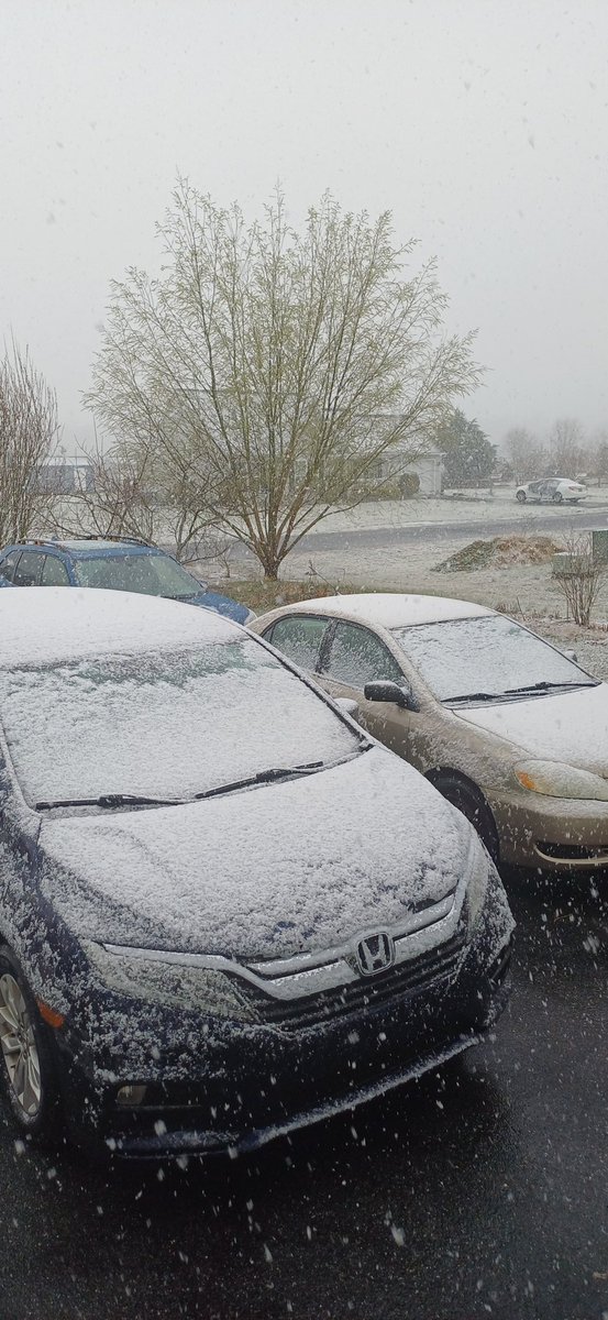 David Owens tweet media