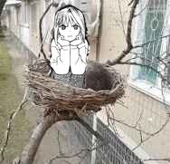 The scene Shiki sees outside of his classroom window every day