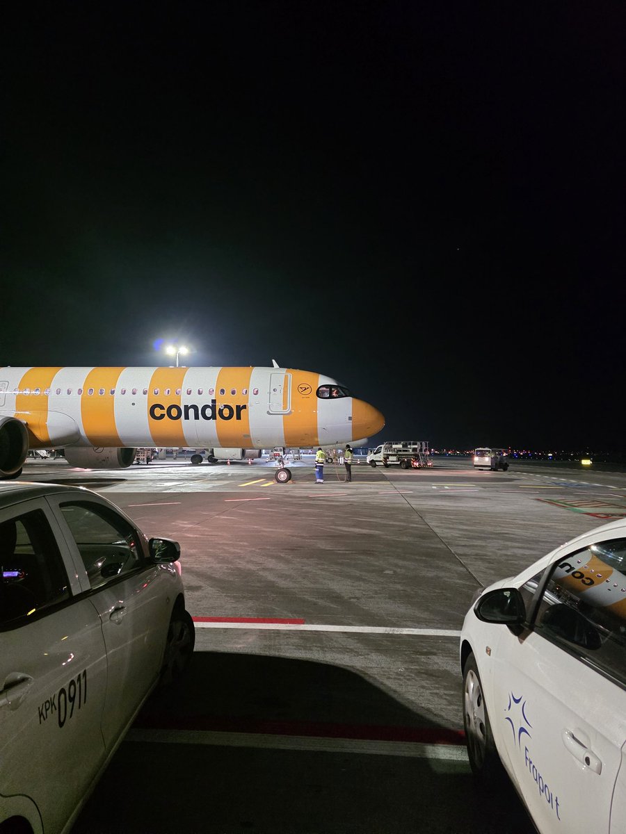 Michael LPMF96 tweet media