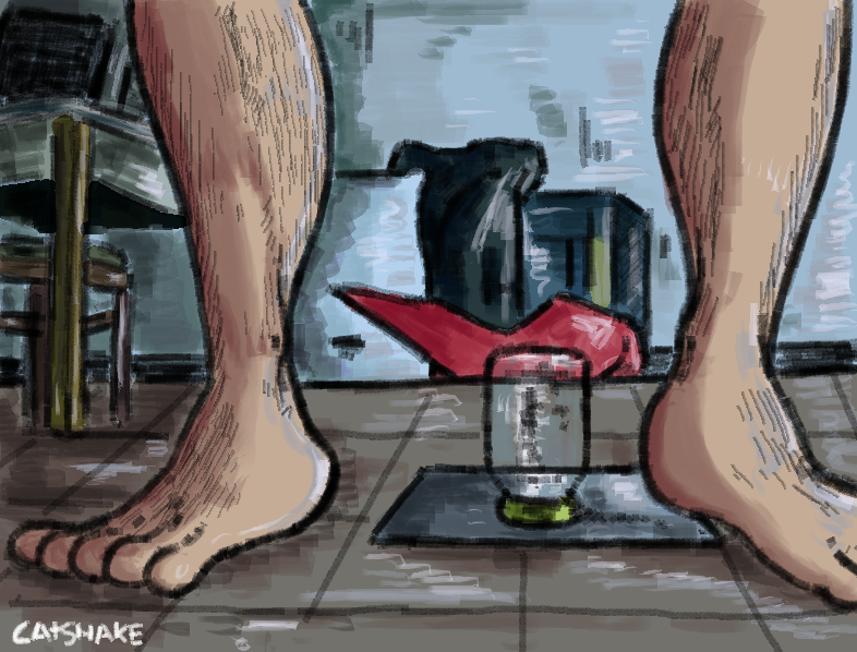 the catshake tweet media