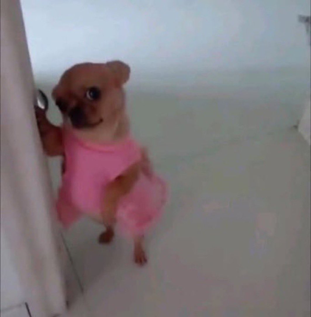 preppy 🎀 tweet media