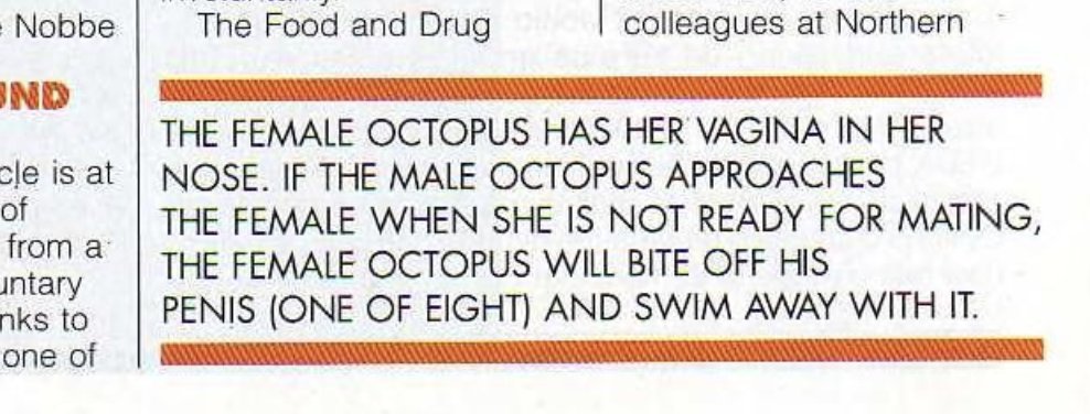 👩‍💻 Paige Bailey tweet media