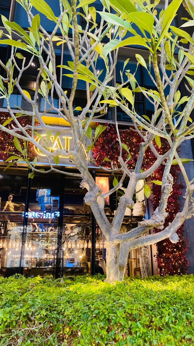 Aya edaly ❤️ tweet media