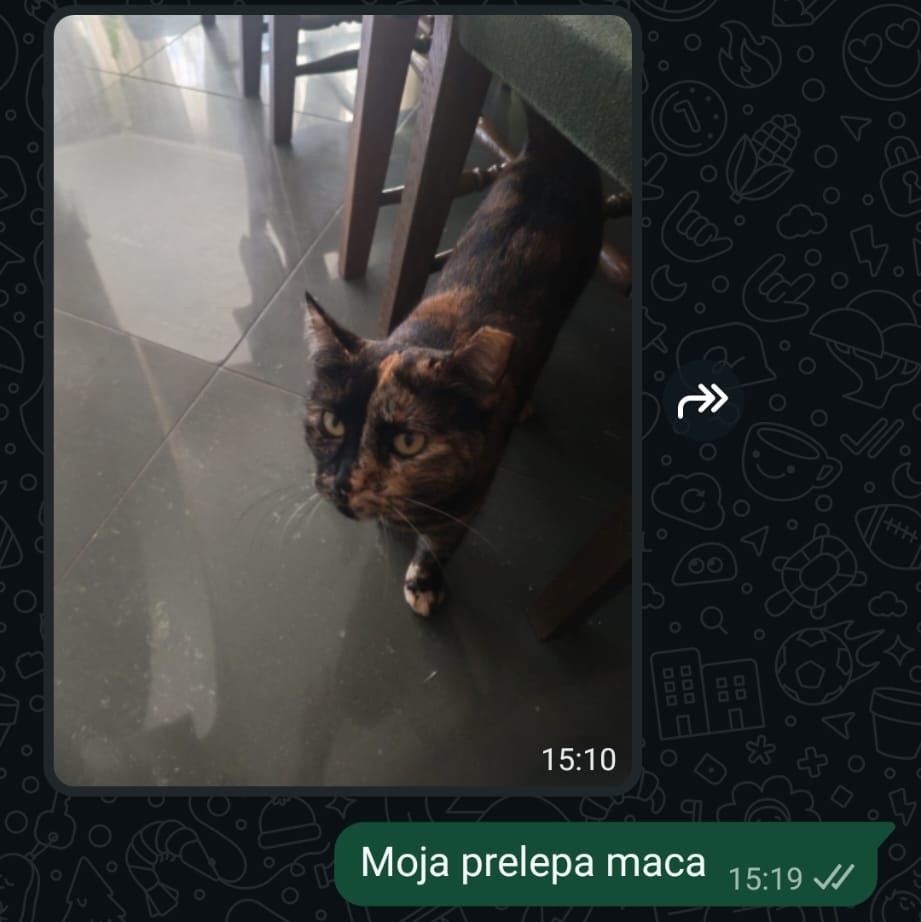 teodroga's tweet photo. @_rhuzica Tako nekako... https://t.co/JfL3vVOMrQ