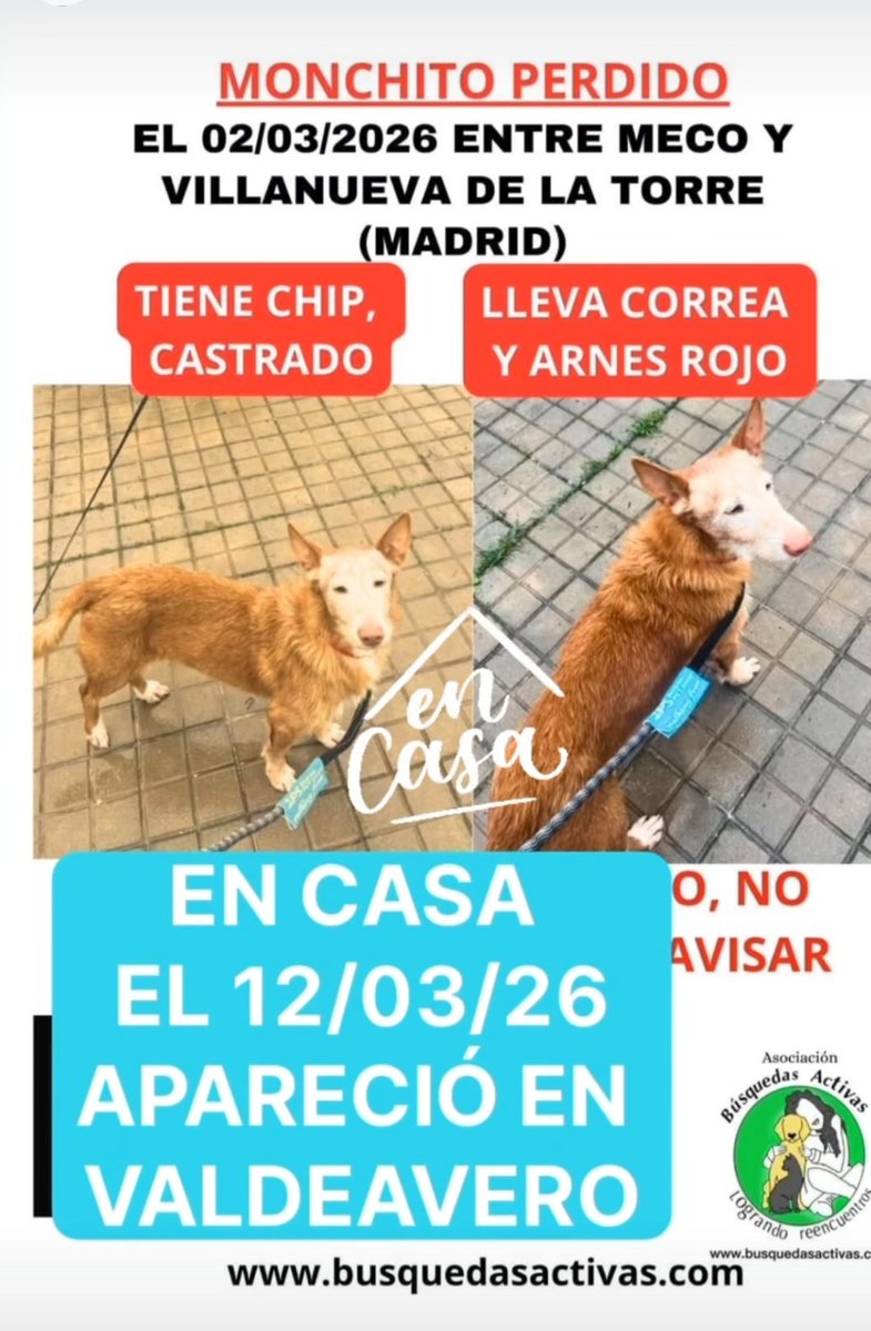 APAP Alcalá tweet media