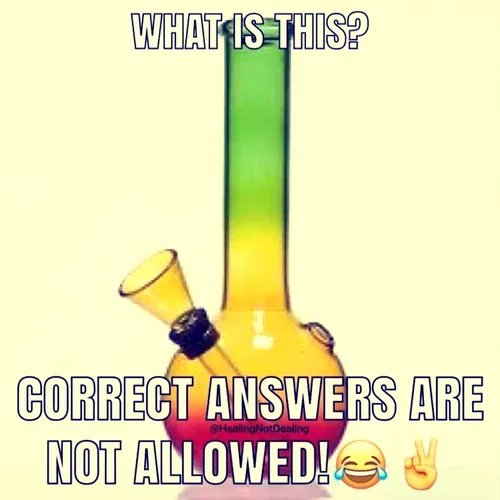 London Seed Centre tweet media