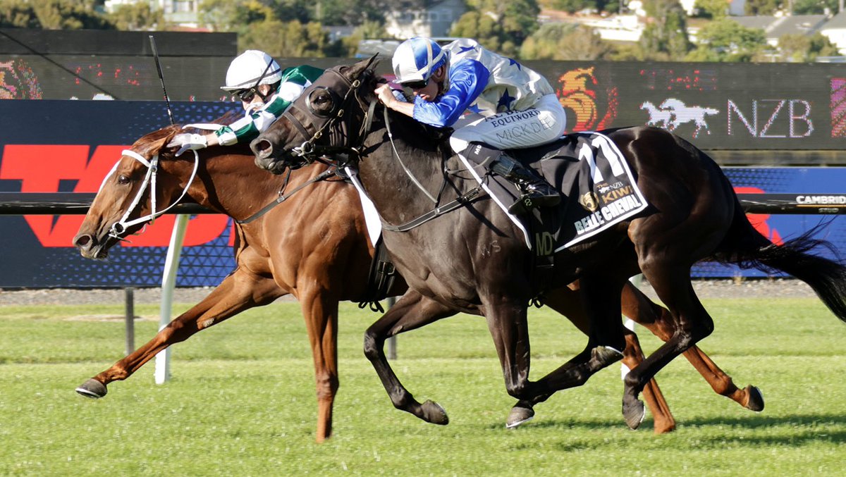 Darryl Anderson 🇳🇿 tweet media