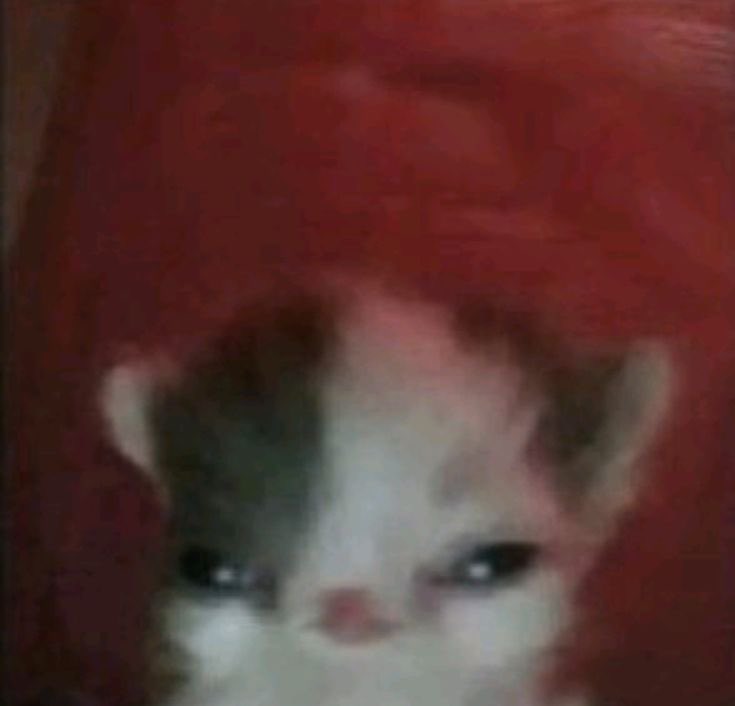 Madelezabeth Arts ✨ COMMS CLOSED tweet media