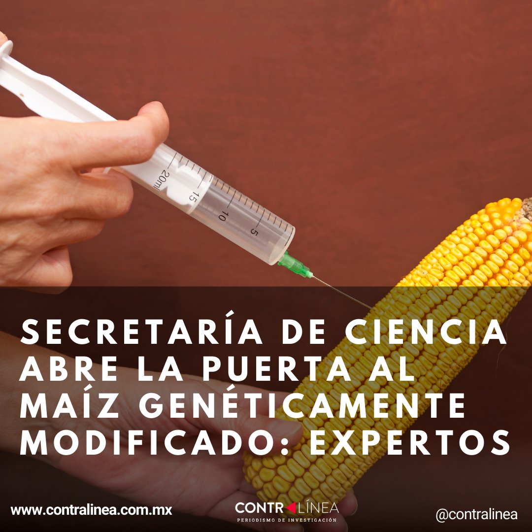 Contralínea tweet media