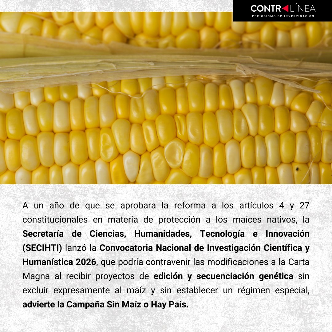 Contralínea tweet media