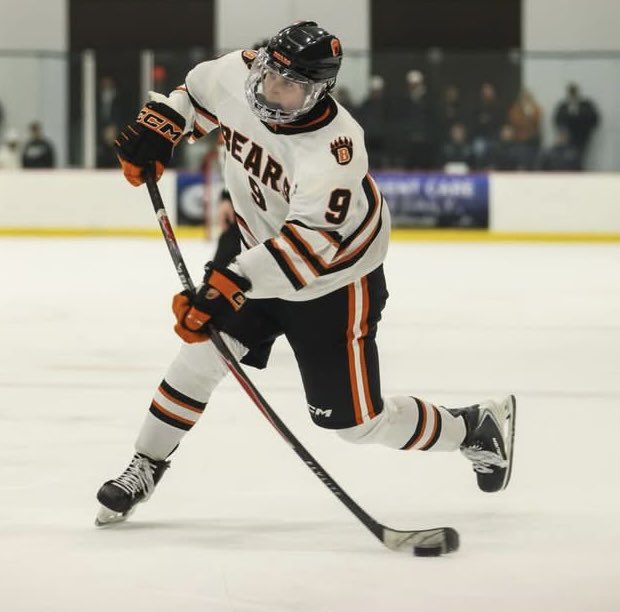 MN Hockey Dog tweet media