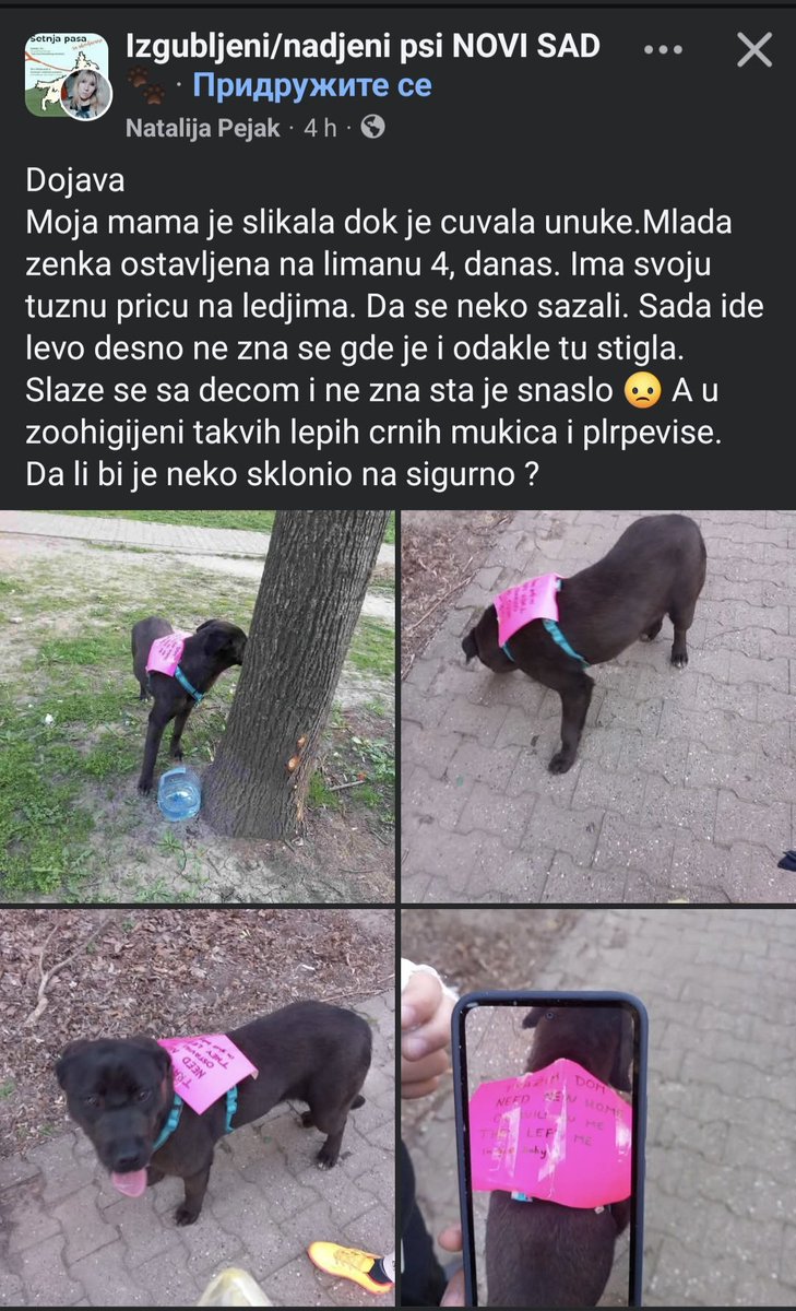 @zverka_1970 (@zverka_1970) on Twitter photo 