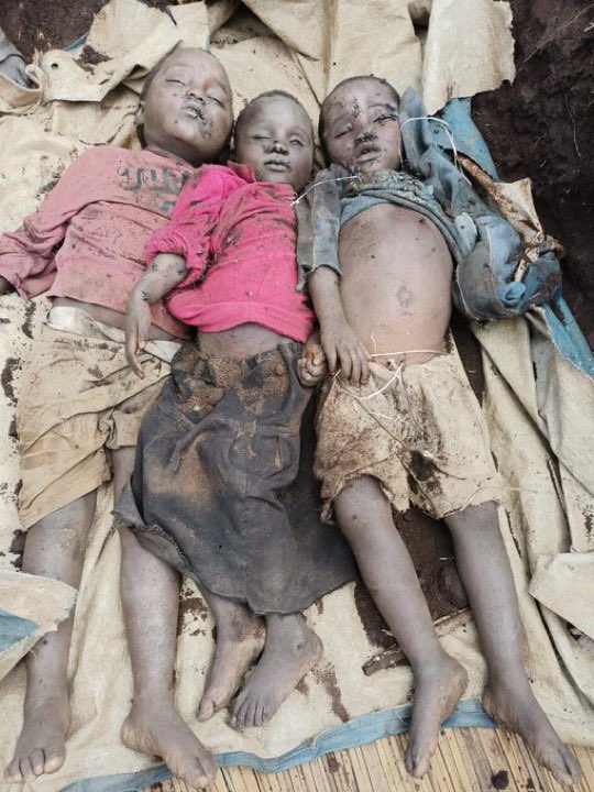 kivu utile tweet media