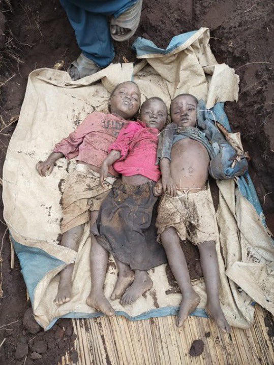 kivu utile tweet media