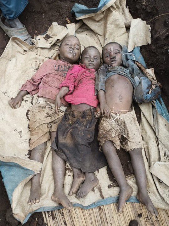 kivu utile tweet media