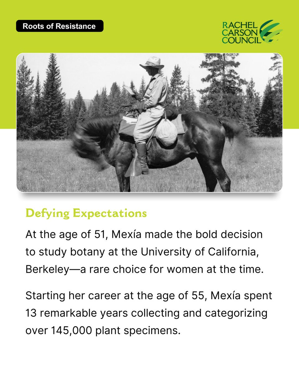 Rachel Carson Council tweet media