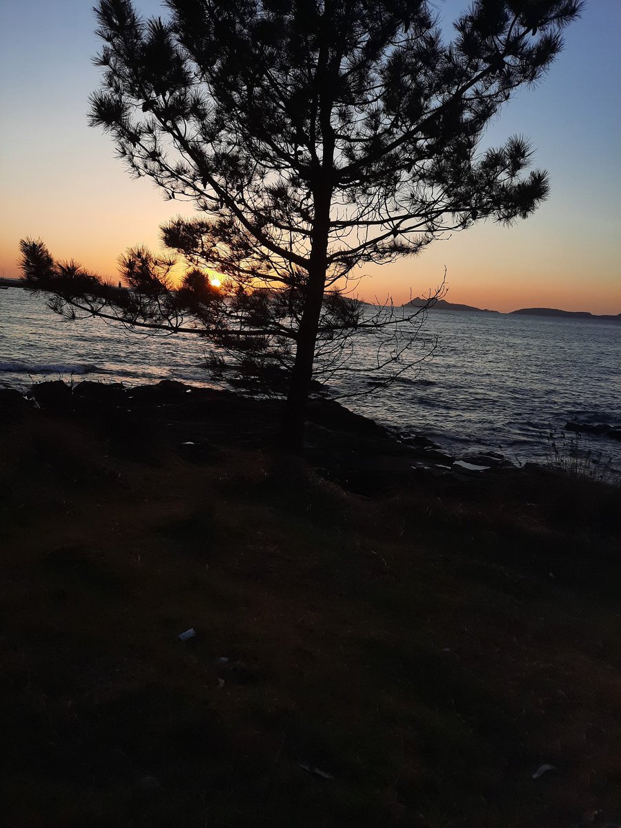 Albamuse's tweet image. 🩷✨⚡ #photography #photobyme #pinkskies #sunset