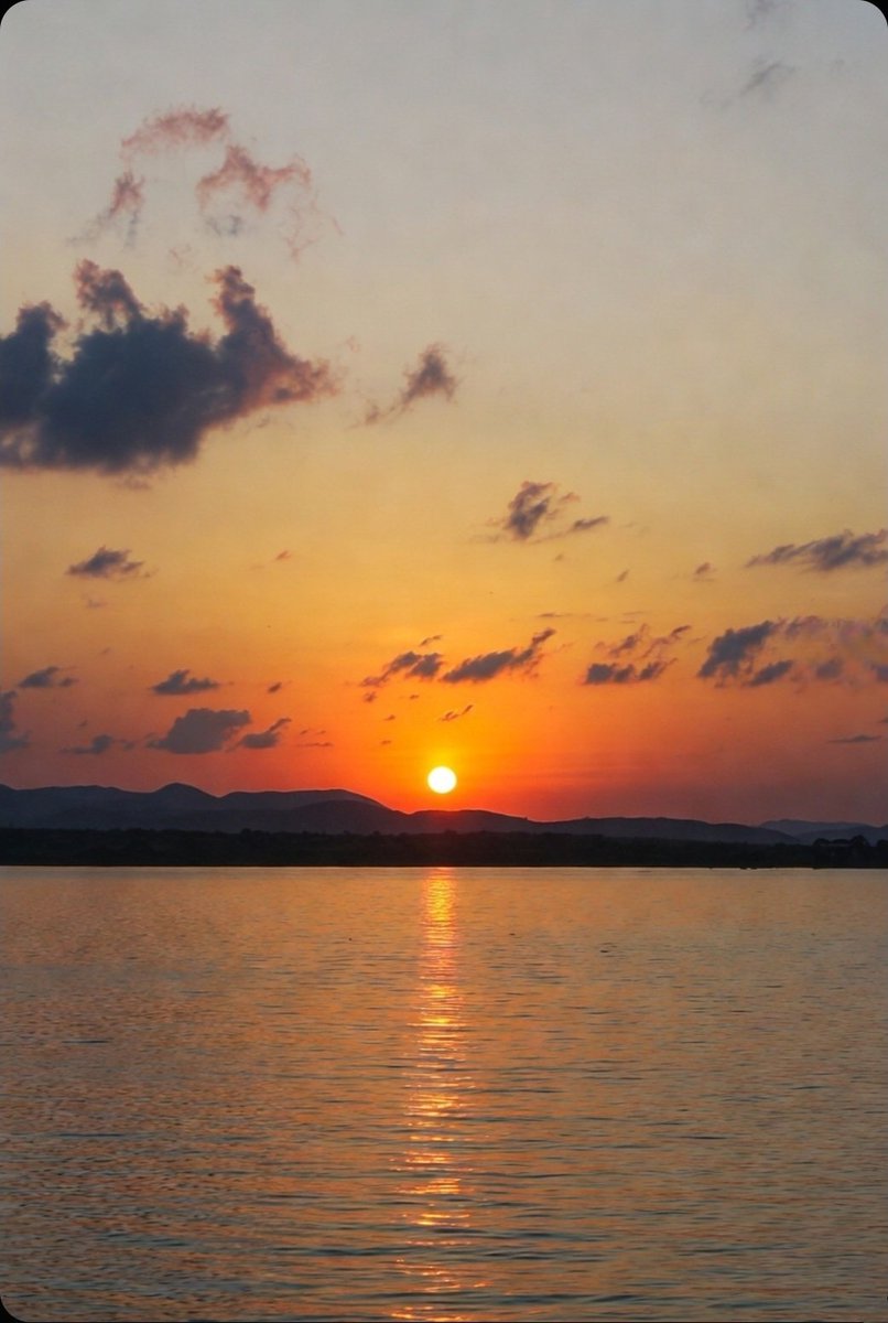 나봄씨 tweet media